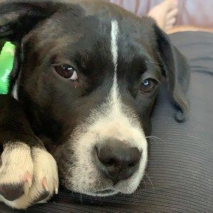 Meet your Posher, Kris